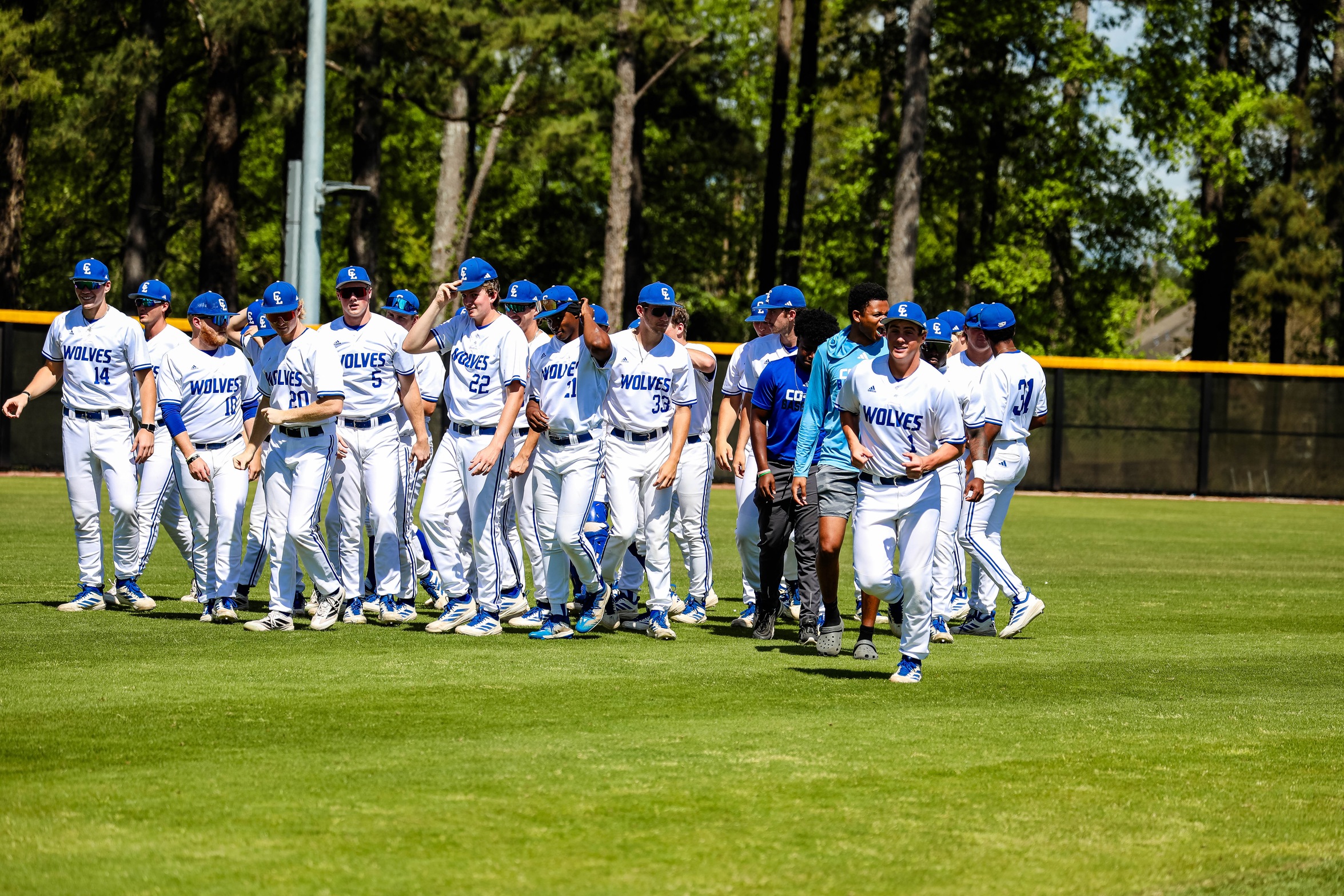 Wolves Split with Bobcats